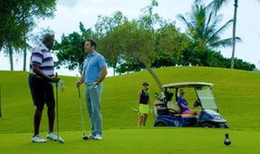Hawaii Five-O IV (21/22)