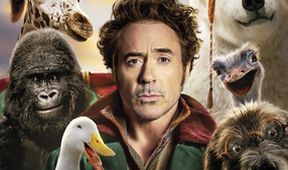 Dolittle