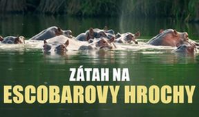 Zátah na Escobarovy hrochy, Dokumentární klub