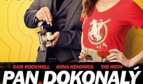 Pan Dokonalý