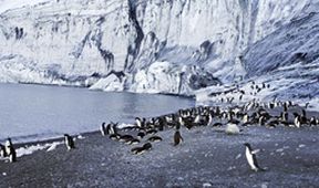 Antarktida z ptačí perspektivy (2)