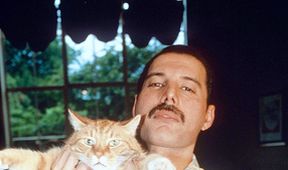 Freddie Mercury: Příběh