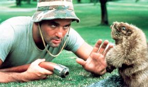 Caddyshack
