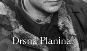 Drsná Planina