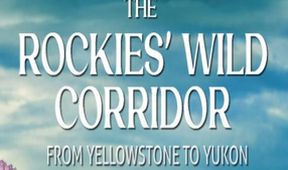 Divoký koridor Skalistých hor: Z Yellowstonu k Yukonu (4)