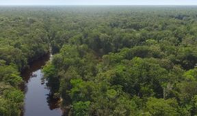Uakari, Humboldtova ztracená opice