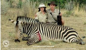 Safari