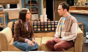 The Big Bang Theory