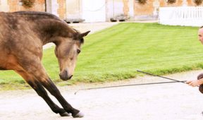 Kamera na cestách: Normandie, země hojnosti