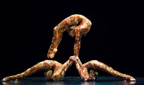 Cirque du Soleil: Kooza