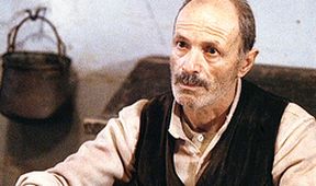 Strom na dřeváky