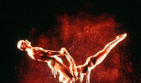 Cirque du Soleil: Quidam