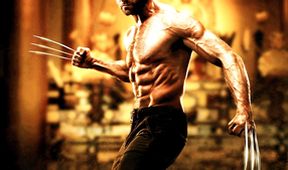 Wolverine