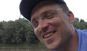 Království divočiny: Jepice dlouhochvostá, Maďarsko