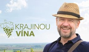 Krajinou vína po Slovensku (6/6)