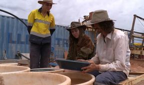 Australští zlatokopové: Důl volá SOS (4)