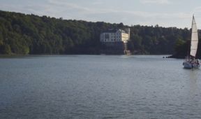 Chůze lesem