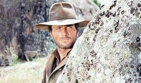 Adios Django