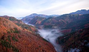 Jak se vrací prales - Národní park Kalkalpen