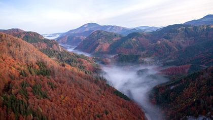 Jak se vrací prales - Národní park Kalkalpen