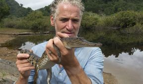Domorodé kmeny, zvířata a já: Krokodýlí lidé z Nové Guineje