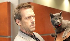 Dr. House V (18)