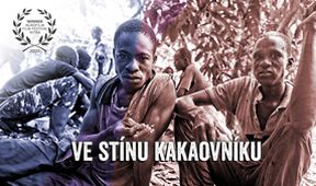 Ve stínu kakaovníku