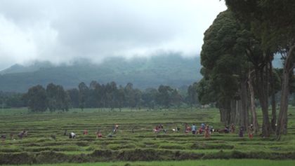 Rwanda, cena za úspěch, Dokumentární klub