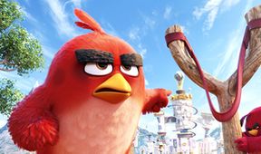 Angry Birds ve filmu