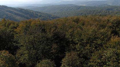 Divočina bez hranic (10)