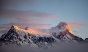 Divoké Chile (1)