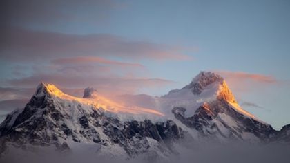 Divoké Chile (1)