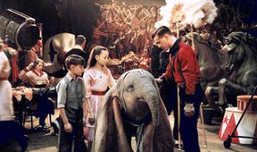 Dumbo