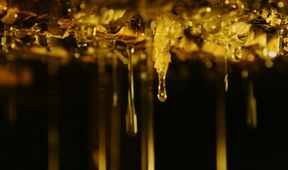 Les Maîtres Des Abeilles