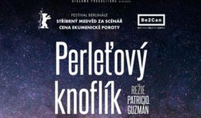 Perleťový knoflík