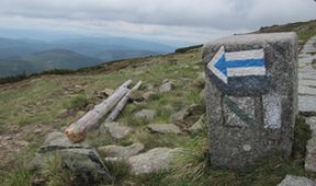 Divočina bez hranic (5)