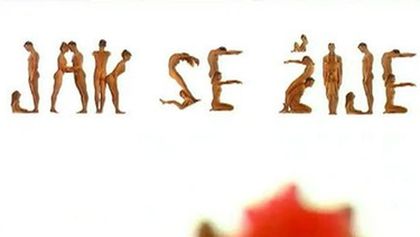 Jak se žije kočkám podle Drahomíry Vihanové