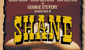 Shane