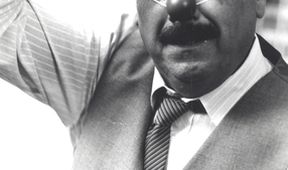 Štek