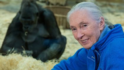 Jane Goodallová - životní příběh