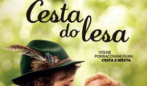Cesta do lesa