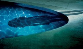 Lady in the Water
