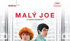 Malý Joe
