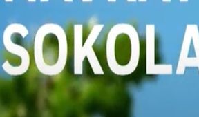 Návrat sokola