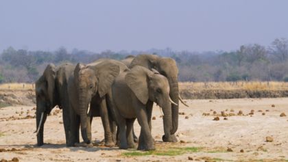 Velkolepá Afrika (2)