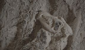 Ztracené poklady Egypta - výběr (1)