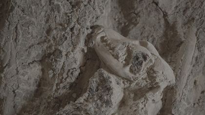 Ztracené poklady Egypta - výběr (1)