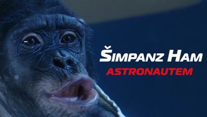 Šimpanz Ham astronautem