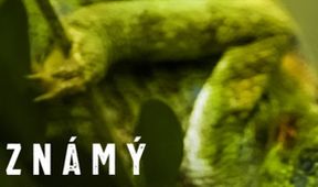 Neznámý Madagaskar (2/2)