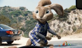 Hop - Osterhase oder Superstar